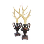 Par de Chifres Cervo Europeu / Portugal / Século XIX